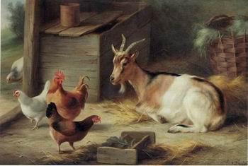 unknow artist poultry  162 Germany oil painting art